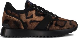 Le Silla Claire running sneakers - Brown