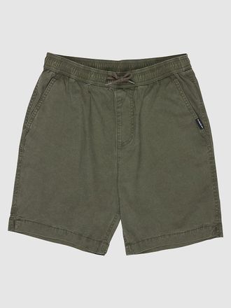Quiksilver Taxer Kids Korte Broek groen