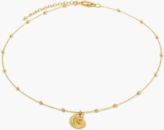 Yoj Coral Beaded Shell Chocker Necklace in Gold at Nordstrom