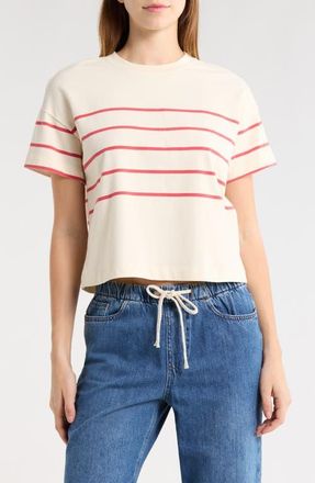 Marine Layer Luxe Sueded Cotton T-Shirt in Red/White Stripe at Nordstrom, Size X-Large