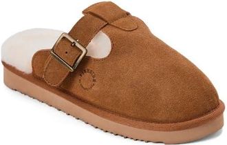 Dearfoams Fireside Maitland Genuine Shearling Scuff Slipper in Chestnut at Nordstrom, Size 11