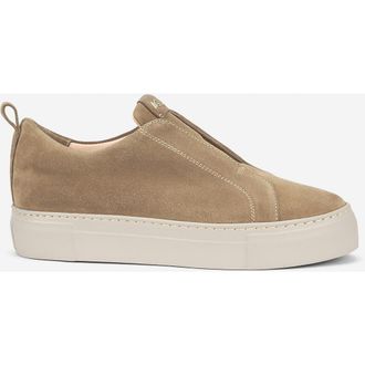 AGL Clementina sneaker in water-resistant velour in Taupe at Nordstrom, Size 40.5