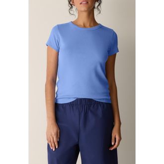Eileen Fisher Crewneck T-Shirt in Cornflower at Nordstrom, Size Xx-Small