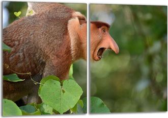 OEM Placa Protectora De Vidrio Para Estufa 2x40x52 Nosacz