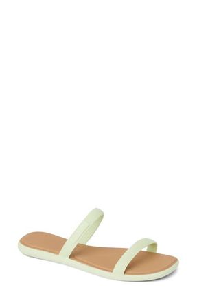 Reef Water Willow Marina Slide Sandal in Aloe Wash at Nordstrom, Size 10