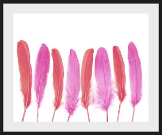 Queence Bild »Ulla« Federn Kunst