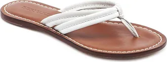 Bernardo Miami Thong Sandal in White Leather at Nordstrom, Size 7.5
