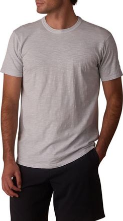 The Normal Brand Legacy Perfect Cotton T-Shirt in Mist at Nordstrom, Size X-Large