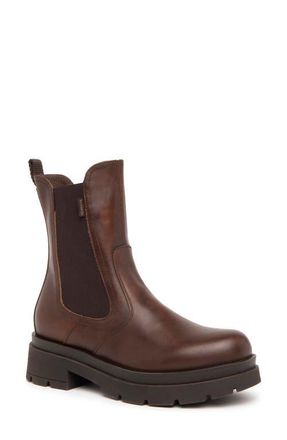 Nero Giardini Lug Sole Chelsea Boot in Brown at Nordstrom, Size 10Us