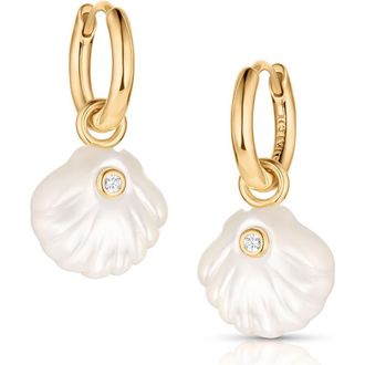 Thatch Coquille Earrings in Mother Of Pearl at Nordstrom