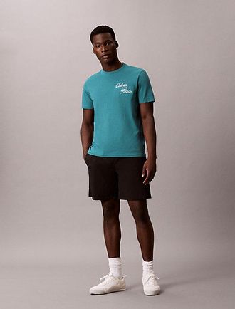 Calvin Klein T-shirt met geborduurd logo