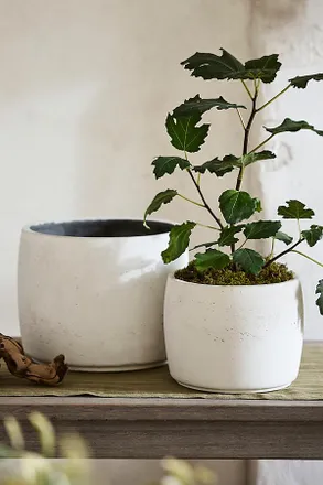 Terrain Barrel Cement Planter