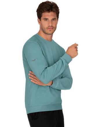 Trigema Sweatshirt TRIGEMA TRIGEMA Sweatshirt aus Biobaumwolle, Herren, Gr. S, gr&uuml;n (seegras), 75% Baumwolle (Biobaumwolle kbA), 25% Baumwolle (recycelt), Bas