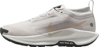 Nike (WMNS) Nike Pegasus Trail 5 Gore-Tex Vast Grey FQ0912-008