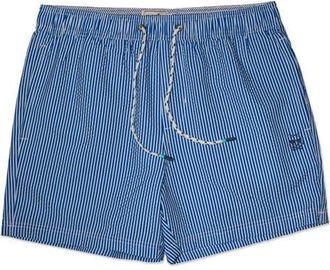 Party Pants Stripe Party Starter Lined 5-Inch Swim Trunks in Blue at Nordstrom, Size Xx-Large