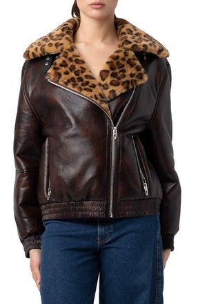 Blank NYC Faux Leather & Faux Shearling Moto Jacket in Weekend Warrior at Nordstrom, Size X-Small