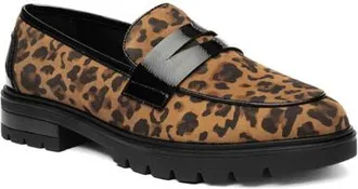 Ara Caladium Loafer in Brown at Nordstrom, Size 10.5