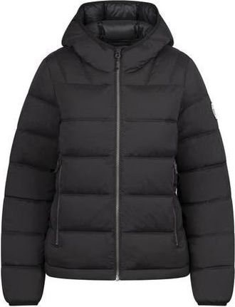 Trespass Rollins Hooded Jacket in Black at Nordstrom, Size Xxx-Large