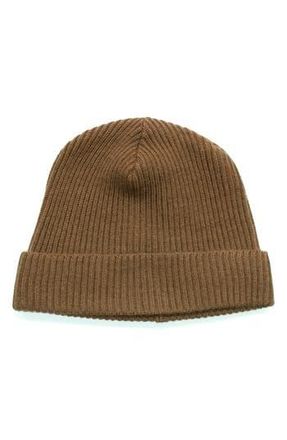 Portolano Merino Wool Rib Cuff Beanie in Bran at Nordstrom Rack