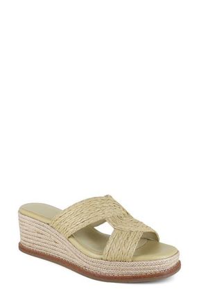 Splendid Daria Platform Wedge Sandal in Natural at Nordstrom, Size 6.5