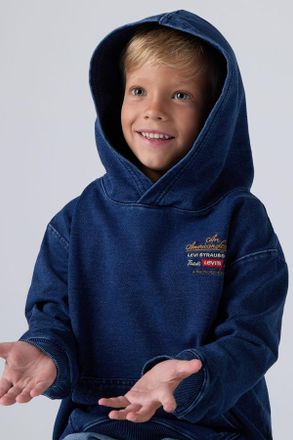 Levi's Felpa con cappuccio Legendary da bambino - Uomo - 3A - Neutral / Iron Horse