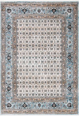 Safavieh Shivan Collection Rug