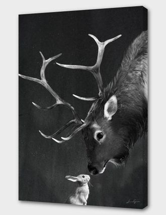 Curioos Elk And Rabbit