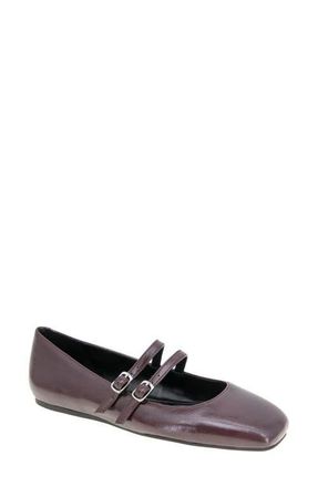 BCBGeneration Harisa Mary Jane Flat in Dark Cherry at Nordstrom, Size 8