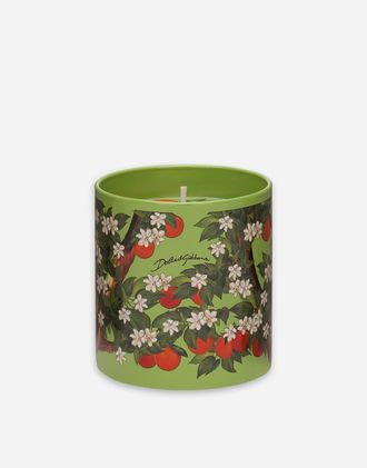 Dolce & Gabbana Scented Candle - Sicilian Orange - Glass Candles Multicolor Onesize