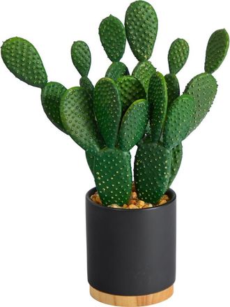 Nearly Natural 10-in Cactus Succulent Artificial Plant in Planter in Green at Nordstrom