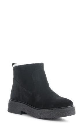 Bos. & Co. Scout Waterproof Winter Bootie in Black/Preto at Nordstrom Rack, Size 10-10.5Us / 41Eu