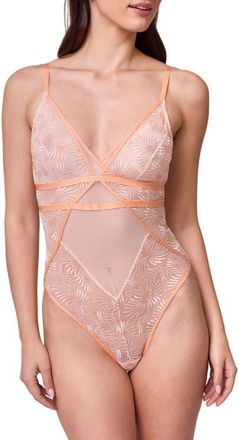 Montelle Intimates Tangerine Dream Embroidered Sheer Mesh Teddy in Champagne/Tangerine at Nordstrom, Size X-Large