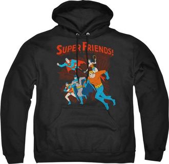 Gildan DC Comics Super Running Adult Pull Over Hoodie / Hooded Sweatshirt