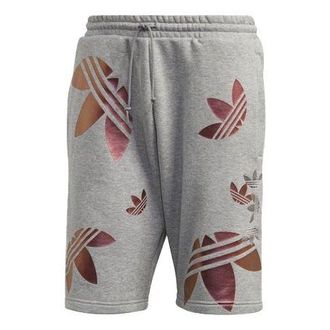 adidas originals Zeno Big Trefoil Logo Lacing Sports Shorts Gray GD0983