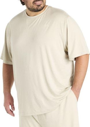 Reebok Big & Tall Performance Perfect T-Shirt in Sport Beige Heather at Nordstrom, Size 3X Big