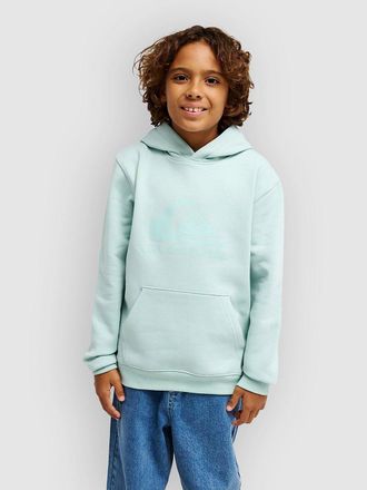Quiksilver Comp Logo Kids Hoodie blauw