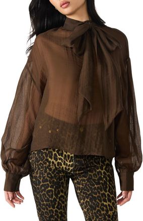 Steve Madden Sutton Tie Neck Top in Dark Espresso at Nordstrom, Size Small