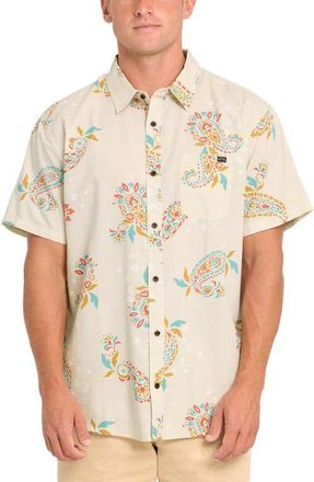 Billabong Sundays Short Sleeve Cotton Blend Button-Up Shirt in Oatmeal at Nordstrom, Size Medium