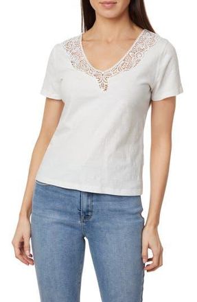 Curve Appeal Lace Inset V-Neck Cotton T-Shirt in Soft Ivory at Nordstrom Rack, Size X-Large
