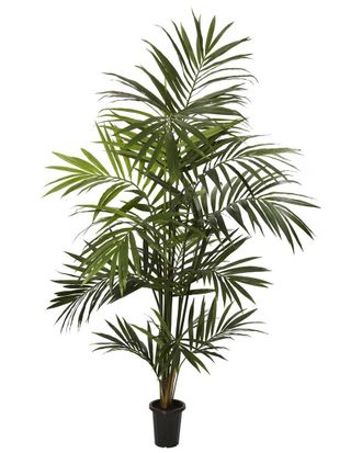 Nearly Natural 7Ft Kentia Palm Silk Tree