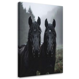 Feeby Cuadro En Lienzo, Cabezas De Caballo Negro Animales Naturaleza, 70x100