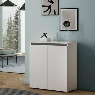 Dmora Zapatero Calla, Mueble Multiusos, Zapatero Con 2 Puertas Que Ahorra Espacio, Armario Con Estantes, 100% Made In Italy, 80x37h102 Cm, Blanco, Con Embal