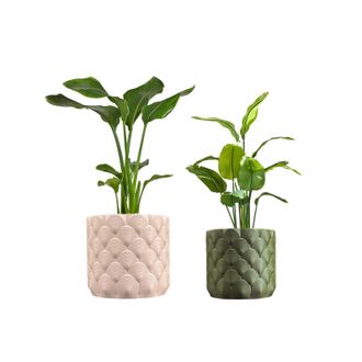 Jonathan Y Designs Syrie Modern Bohemian Indoor Ocean Wave Eco-Friendly 3D Printed Planters with Drainage