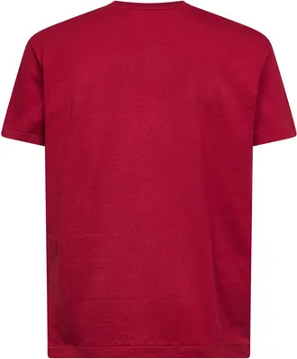 Polo Ralph Lauren Mens Heritage Red Classic-Fit V-Neck T-Shirt Bordeaux Cotton T-Shirts And Polos