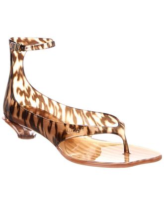 Chlo&eacute; Jelly Tpu Ankle Strap Sandal