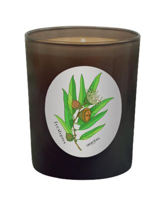 Qualitas Eucalyptus 6.5Oz Beeswax Candle