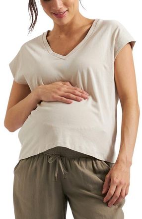 Ripe Marly Zip Nursing Tee in Stone at Nordstrom, Size X-Large Au