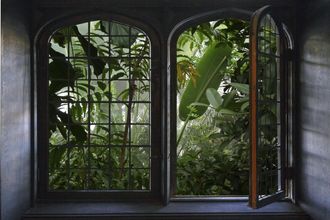 Queence Wandsticker »Urwald« Wandsticker, Wandbild, selbstklebend, 3D, Fenster