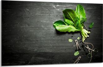 OEM Protector De Cristal Para Encimera 80x52 Albahaca