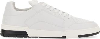 Moschino Sneaker Streetball Rubber Teddy Bear